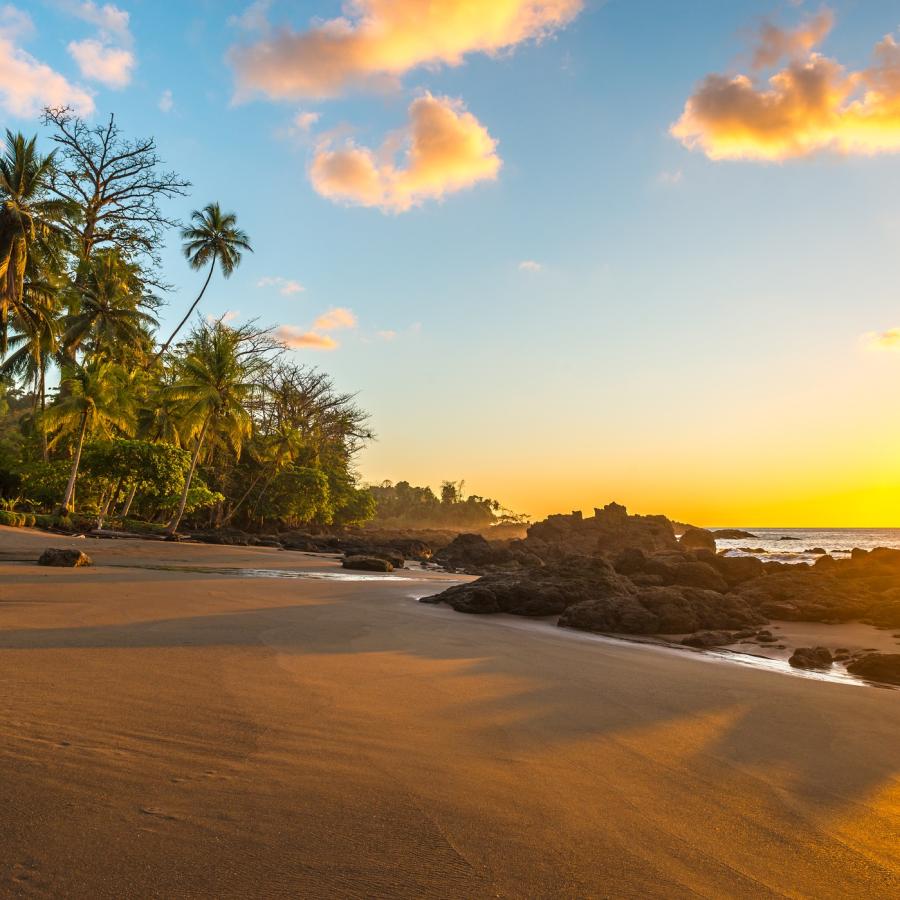 Osa-halvøya - Corcovado nasjonalpark